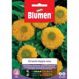 SEMI GIRASOLE DOPPIO NANO GIGANTE GIALLO BLUMEN