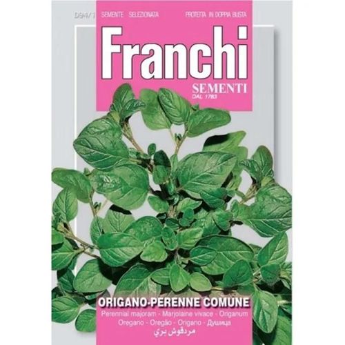 Semi Di Origano Perenne Comune Franchi Sementi-Autre
