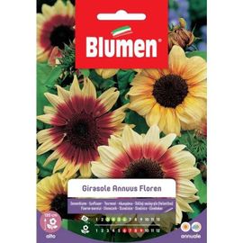 SEMI GIRASOLE ANNUUS FLOREN BLUMEN