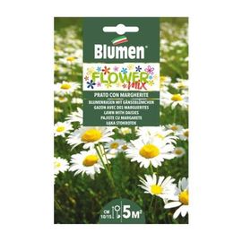 Semi Mix Aiuola Fiorita Margherite Blumen