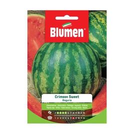 Semi Anguria Crimswon Sweet Blumen