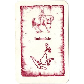 Carte Indonésie Pour Completer Votre Jeu Risk La Conquète Du Monde.