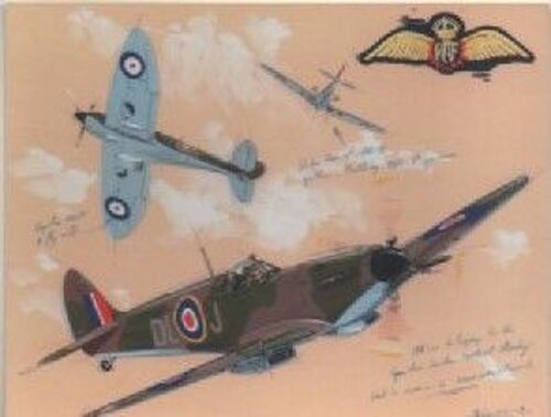 Cpa Theme Aviation Militaire R.A.F