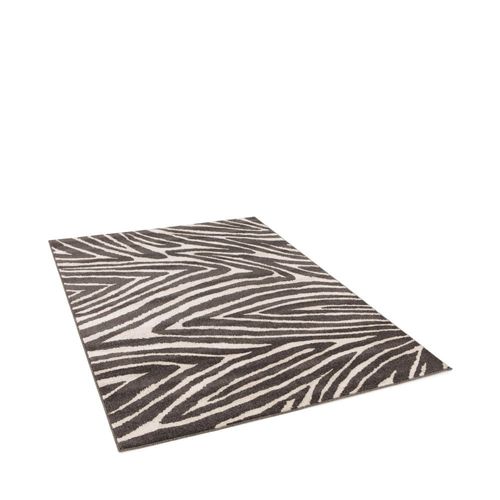 Tapis Graphique À Motif Zébré -120x170cm Gris Anthracite Polypropylène