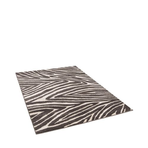 Tapis Graphique À Motif Zébré- 160x230cm Gris Anthracite Polypropylène