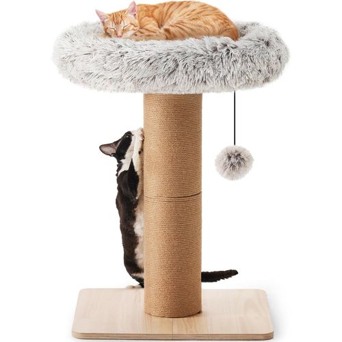 Arbre ¿¿ Chat - Tour ¿¿ Chat De 71 Cm De Haut Avec Chaise Longue Pour Chats Adultes, Petit Arbre ¿¿ Chat De 14 Cm De Large Avec Lit, Meuble Pour Chatons Et Grands Chats