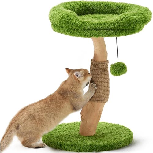 Loc-Arbre À Chat Avec Lit,Griffoir En Bois Massif,Petit Arbre À Chat Avec Corde De Jute Naturelle Pour Chatons Et Chats D'intérieur