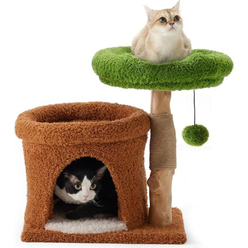 Loc-Petit Arbre À Chat,Tour À Chatons De Style Plante Avec Griffoir Unique En Bois Massif,Joli Griffoir Pour Chat Avec Lit Doux Pour Chatons Et Chats D'intérieur