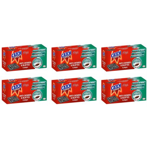 CATCH Lot de 6 Boîtes de 6 pièges Contaminateurs Anti¿Cafards & Blattes