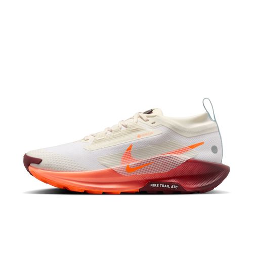 Chaussures De Trail Imperméable Nike Pegasus Trail 5 Gorestex Pour Blanc