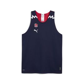 Puma Maillot De Basketball Réversible Saski Baskonia Homme, Vêtements, Navy/Chili Pepper, M