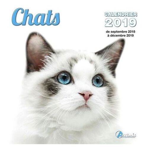 Chats - Edition 2019