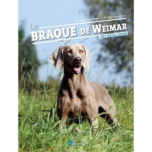 Le Braque De Weimar