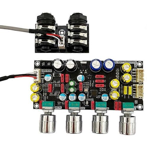 ZK-AMP Fever Karaoké Reverb Board Microphone K Chanson Chant