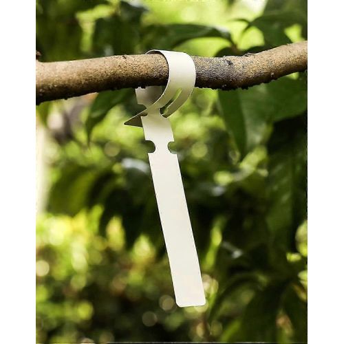 300 Pièces D'étiquettes De Jardin En Plastique,Panneau De Potager Suspendu,2x21cm,Blanc Szrh A-F