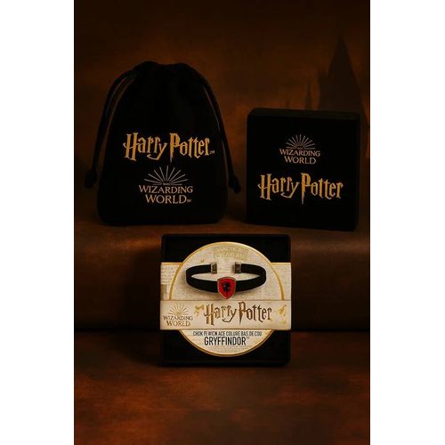 Harry Potter ¿ Collier Ras-De-Cou Gryffondor