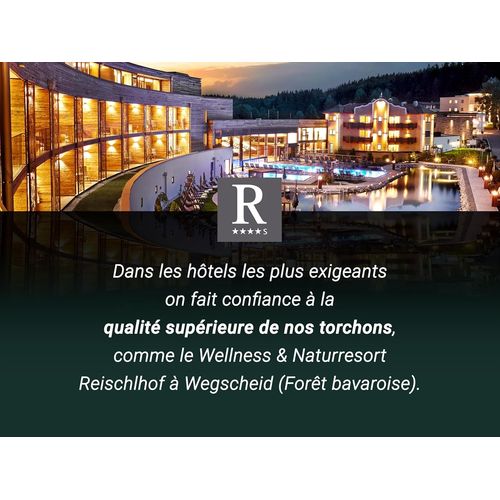 Kalanka-Lot De 10 Torchons En Coton De 46x70 Cm - Super Absorbants Et Robustes - Lavables Jusqu'à 60°C - À Carreaux Gris - Qualité Gastronomique - Certifiés Oeko Tex®