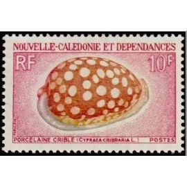 Nouvelle Calédonie, Territoire D'outre Mer 1970, Beau Timbre Yvert 370, Série Coquillages, Porcelaine Crible, Neuf* - Sans Gomme -