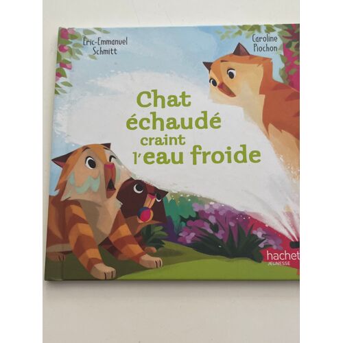 Chat Échaudé Craint L’Eau Froide