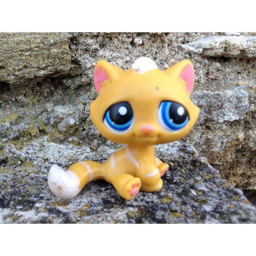 Pet shop chat jaune aux yeux bleu collection