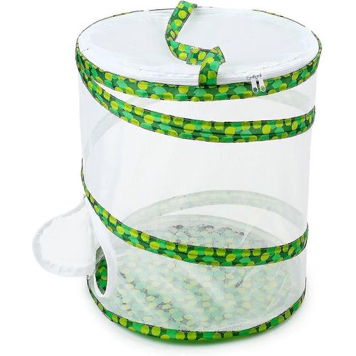 Cage D'habitat Pour Insectes Et Papillons