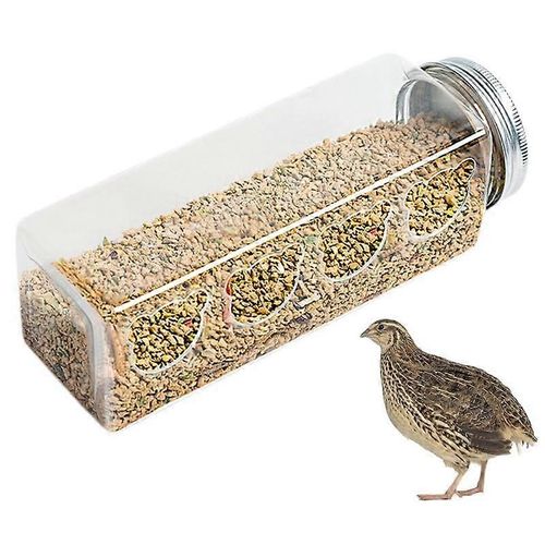 Mangeoires À Cailles Pas De Déchets 4 Ports Pas De Désordre Mangeoire À Poulet Pour Couveuse Mangeoire À Perroquets Portable Accessoires Pour Cailles Oiseaux