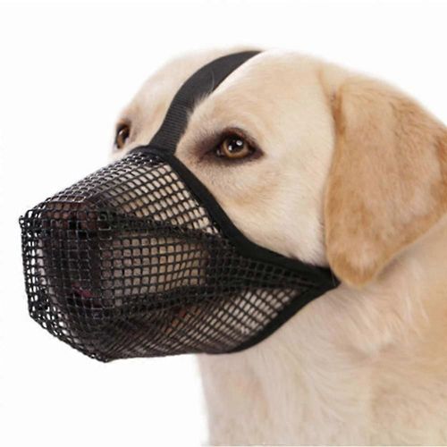 Respirant Anti-Morsure Mâcher Lécher Museler Pour Animal De Compagnie Muselière Pour Chien Anti-Léchage