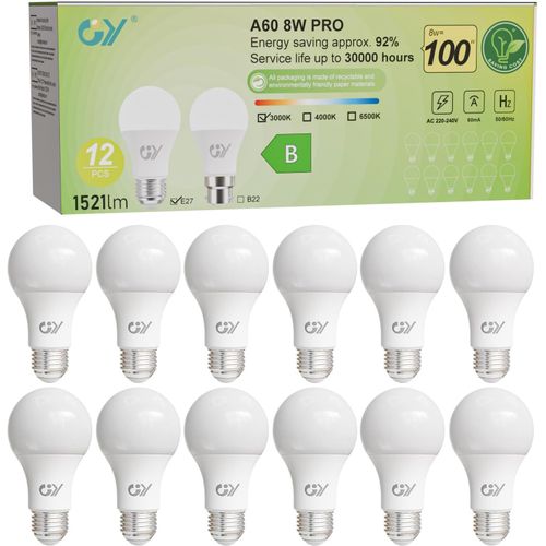 Ampoule Led E27 Classe B, 8 W (Équivalent 100w),1521 Lumens 6500k Blanc Froid,A60 Ampoules E27 Led Efficacité Energétiqu,Non-Dimmable, 6 Unité (Lot De 1)