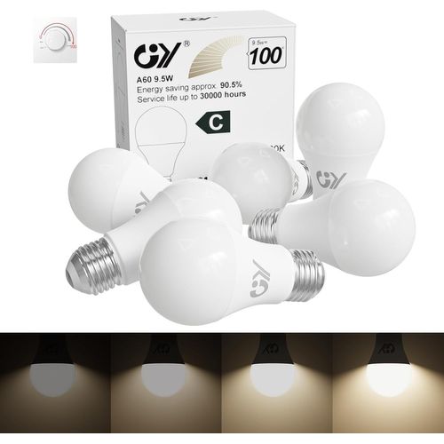 Ampoule Led E27 9.3w (Équivalent 100w), 3000k Blanc Chaud 1500 Lumens, A60 Ampoules E27 Led Efficacité Energétique, Dépolie, Non-Dimmable, 2 Unité