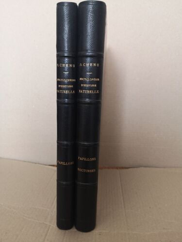 Encyclopédie D Histoire Naturelle Ou Traité Complet De Cette Science - Papillons Et Papillons Nocturnes