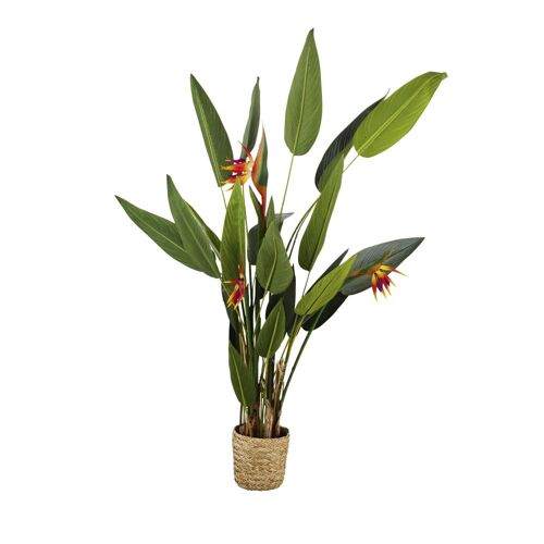 Strelitzia Artificiel Et Pot Tressé