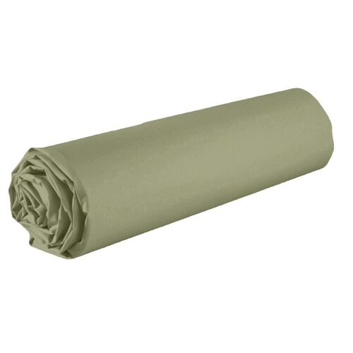 Drap Housse 1 Place Coton Vert Verveine 90x190 Cm