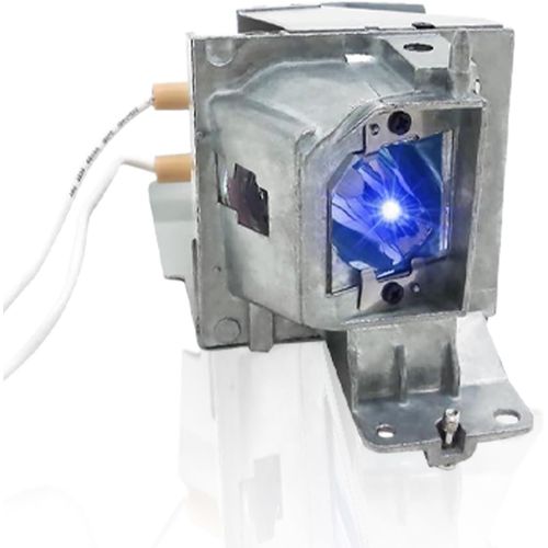 Mc.Jh011.001/Bl-Fp190E/Sp.73701Gc01/Bl-Fu195B/Sp.71P01Gc01/Sp.78H01Gc01/Bl-Fp195A/Sp.79C01Gc01/Bl-Fp195B/Np36Lp Lampe De Remplacement Pour Projecteur Compatible Avec Acer X113, X113P/Optoma Hd421X