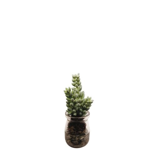 Succulente Sedum En Pot Artificielle Verte H13
