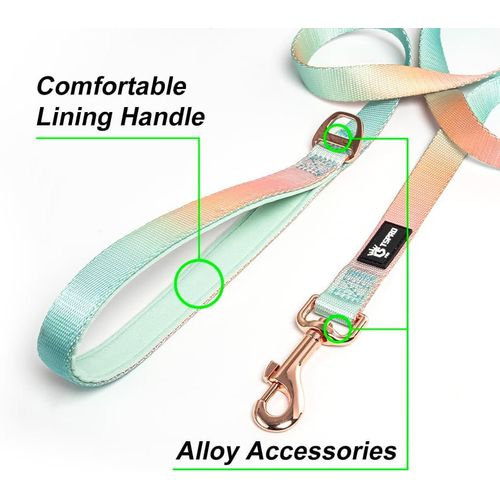 Cmjaagur-Laisse Pour Chien De Faible Poids, Gradient De Couleur Laisse Chien Avec Poignée Rembourrée Et Fermeture Métallique Pour Chiens De Petite À Moyenne Taille (Orange Jaune)[M569]