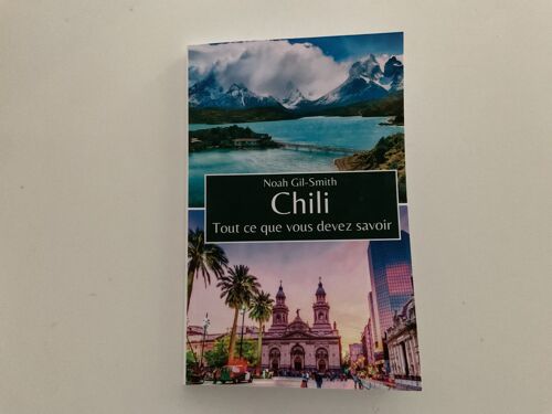 Tout Ce Que Vous Devez Savoir Chili