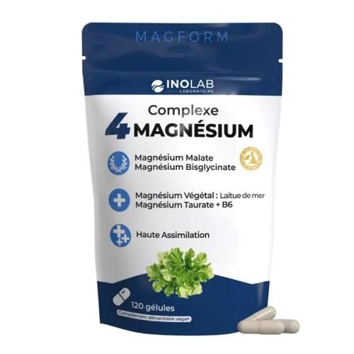 Complexe 4 Formes De Magnésium + Vitamine B6 - Magform 120 Gélules 