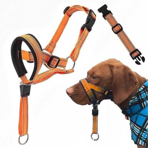 Harnais De Dressage Réglable Avec Sangle De Sécurité Et Sangle Réfléchissante, Collier Anti-Traction Pour Chien (Taille S)