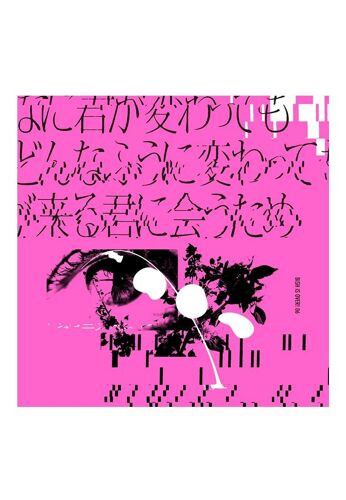 Donnani Kimi Ga Kawattemo Boku Ga Donna Fuu Ni Kawattemo Ashita Ga Kuru Kimi Ni - Japan Import Edition