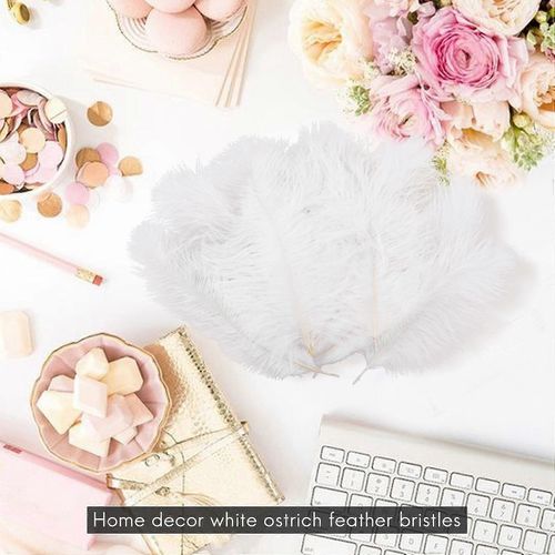 10 Pièces Plume D'autruche Naturelle Blanche 20-25cm Mariage Diy
