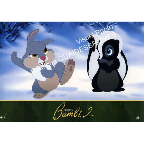 Bambi 2 (Bambi & The Prince Of The Forest, Walt Disney) : Photo D'Exploitation Cinématographique - Format 20x28,5 Cm - De Brian Pimental - 2004