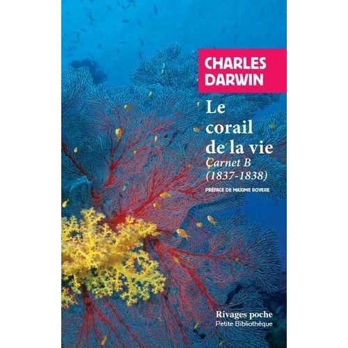 Le Corail De La Vie - Carnet B (1837-1838)