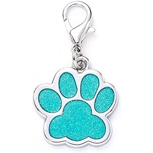 Yts-Médaille Pour Chien Patte En Acier Inoxydable (Turquoise Sans Gravure)