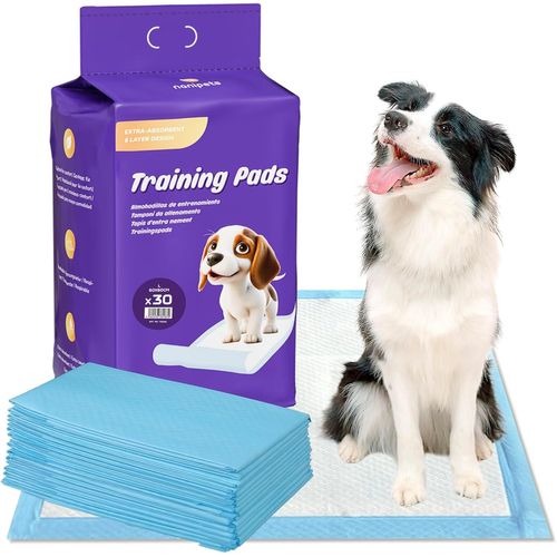 Tapis Chien,Coussinets De Dressage Pour Animaux De Compagnie Super Absorbants Et Anti-Fuite,60*60 Cm Alese Jetable Épais Extra Larges,Paquet De 30