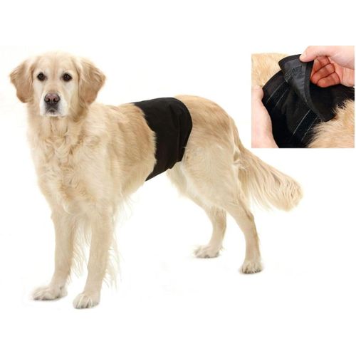 Flamingo Gentleman Wraps Plus Collerette Pour Chien Noir 74 X 23 Cm