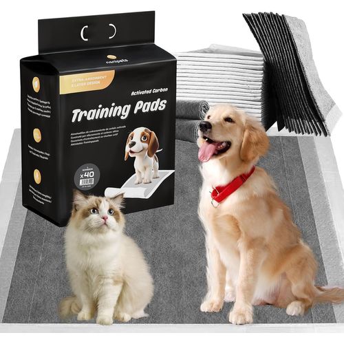 Tapis Chien Au Charbon Actif,Coussinets De Dressage Pour Animaux De Compagnie Super Absorbants Et Anti-Fuite,60*60 Cm Alese Jetable Épais Extra Larges,Paquet De 40