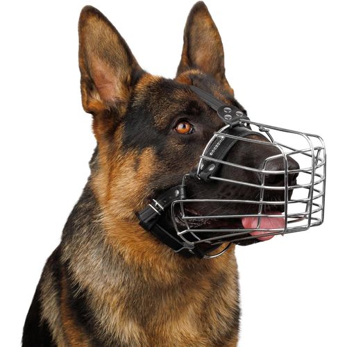 Muselière En Fil De Fer Pour Chiens De Taille Moyenne Et Grande - Panier Réglable En Métal Durable Pour Mordre, Mâcher, Aboyer (Taille M)
