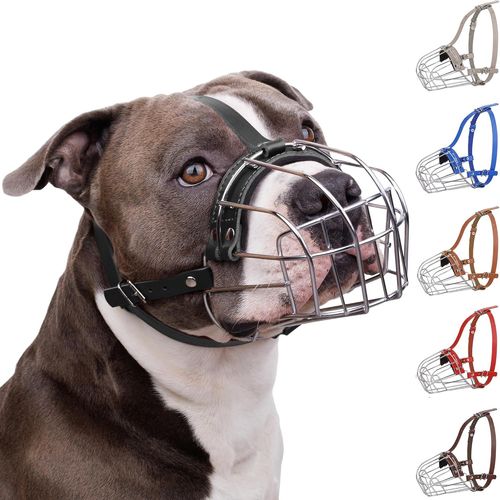 Bronzedog Muselière Pour Chien En Métal Amstaff Panier En Fil De Fer Sangles Réglables En Cuir Pour Grands Chiens