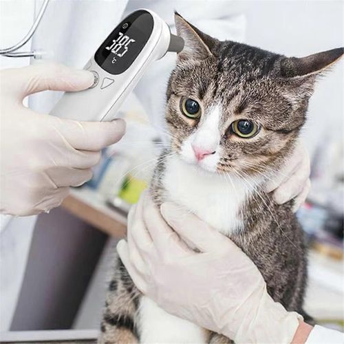Thermometre Auriculaire Pour Chien Et Chat, Thermometre Electronique Sans Contact Pour Animaux De Compagnie