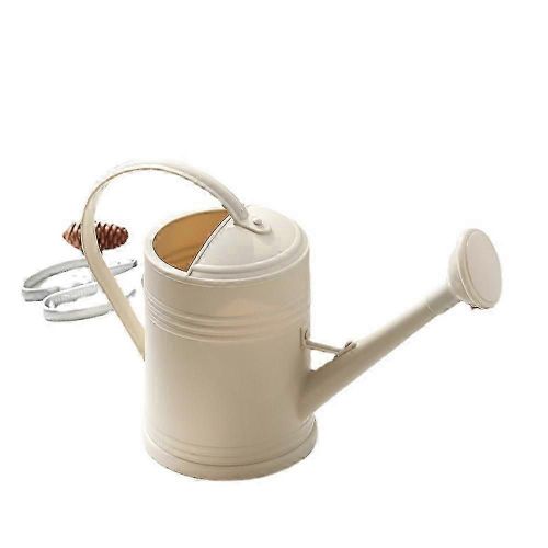 Arrosoir à eau chaude 2025 pour plantes d'intérieur, arrosoir à fleurs d'extérieur pour plantes d'intérieur et fleurs de jardin, outils de jardinage d'intérieur à long bec
